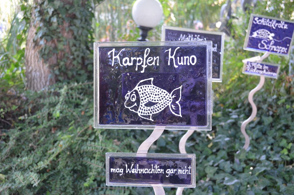 Glasschild von einem Karpfen namens Kuno