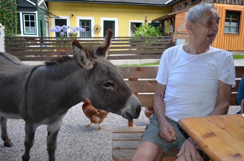 Der Esel