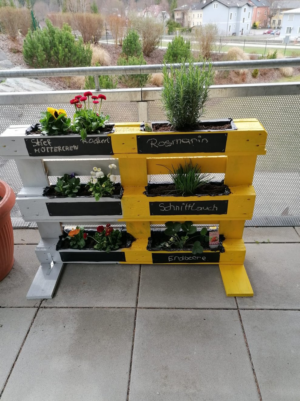 Kräuter- und Blumenhochbeet