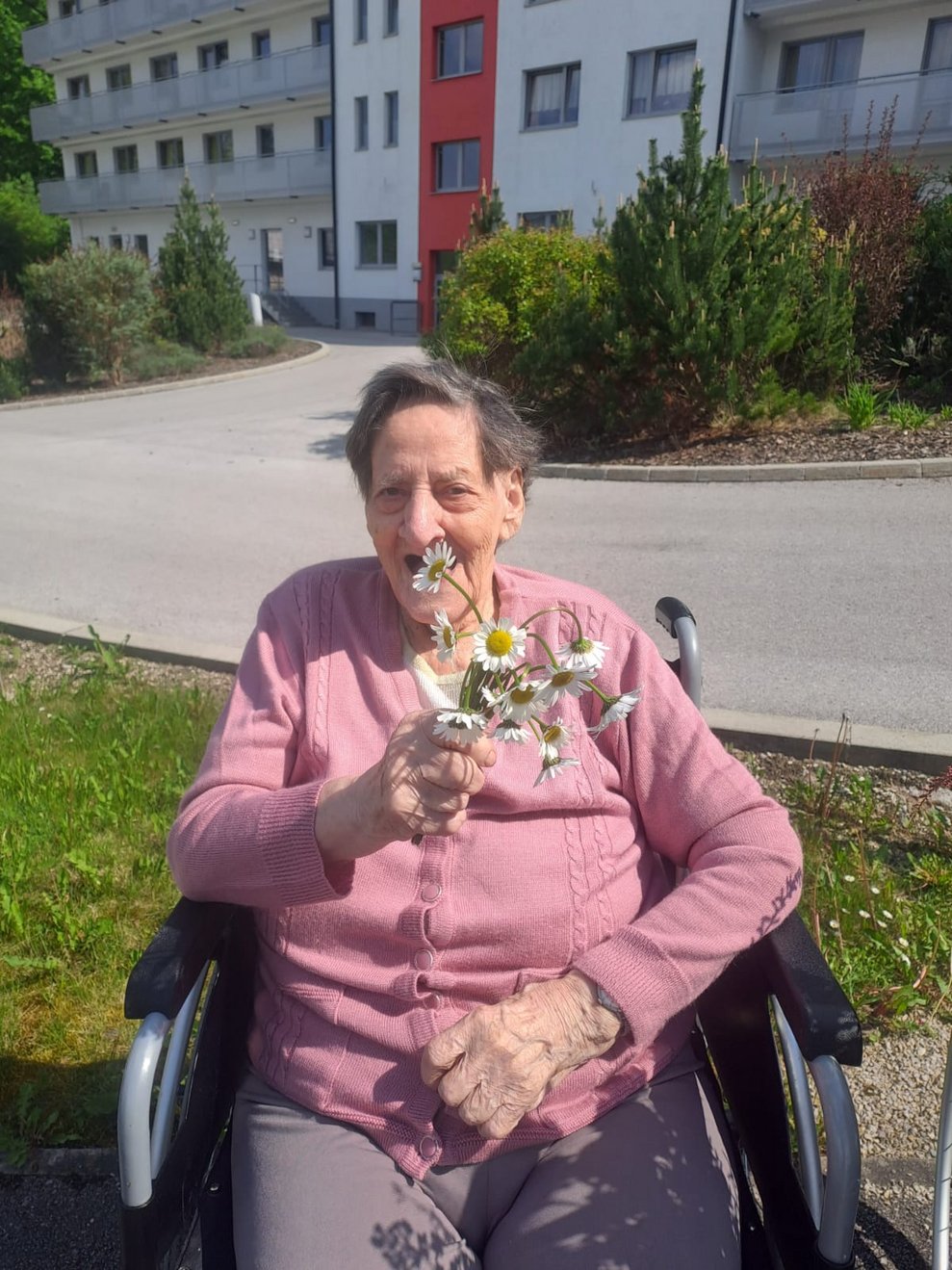Bewohnerin mit Gänseblümchen