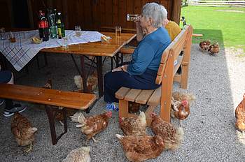 ein Tisch umringt von Hühnern.