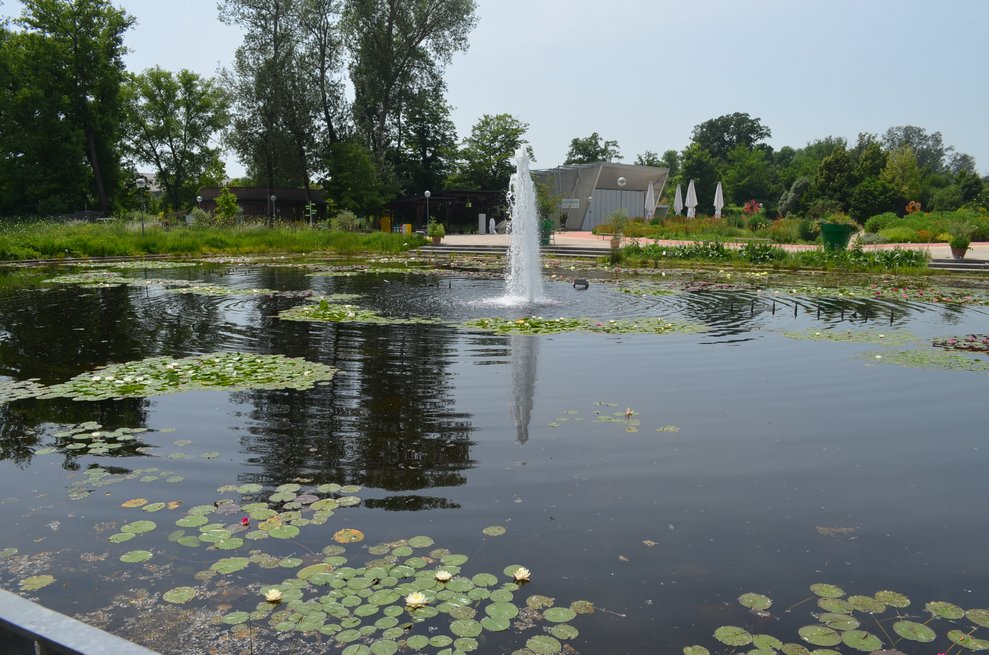 Springbrunnen