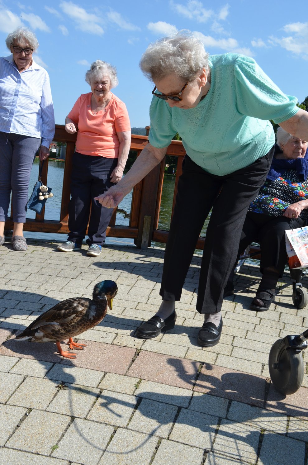 Die Ente ist zahm und geht ganz nah zu unserer Bewohnerin.