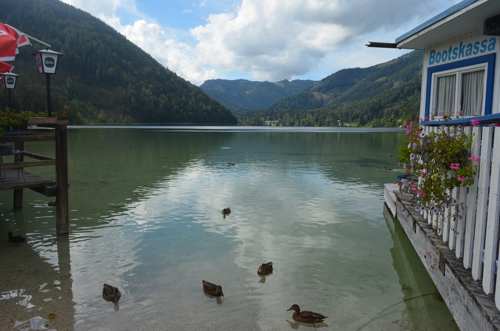 Der Erlaufsee Ausblick
