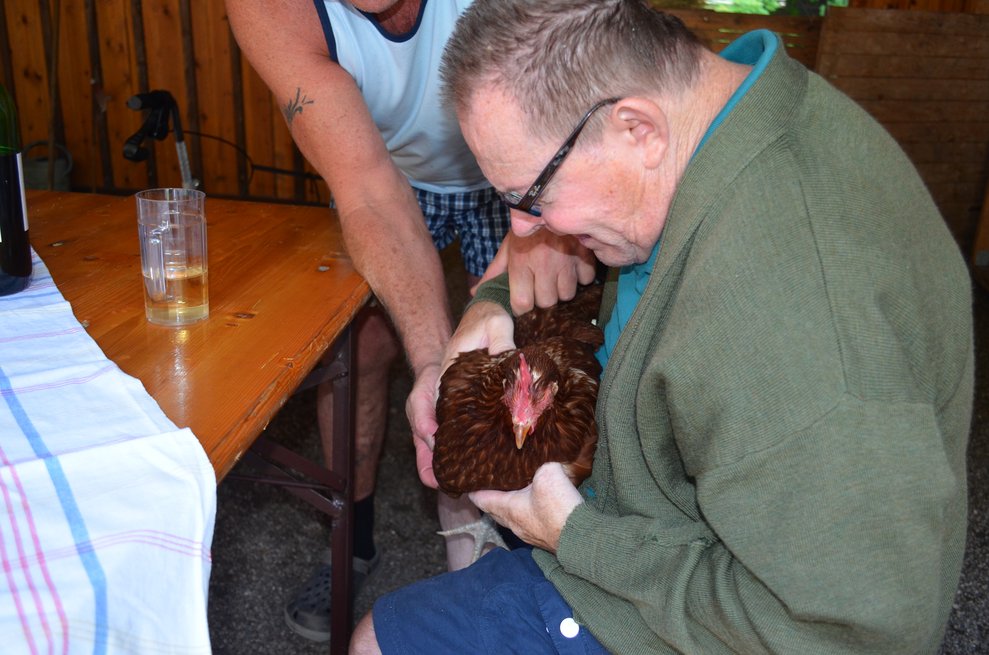 Ein Huhn