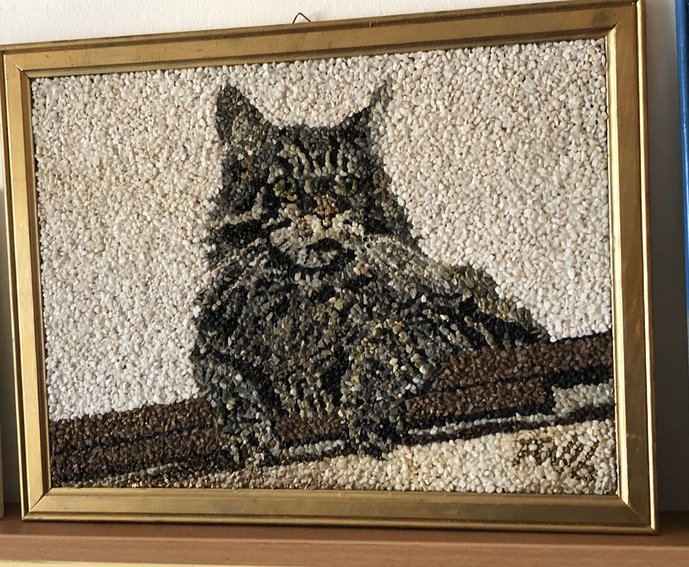 Die Katze des Bewohners