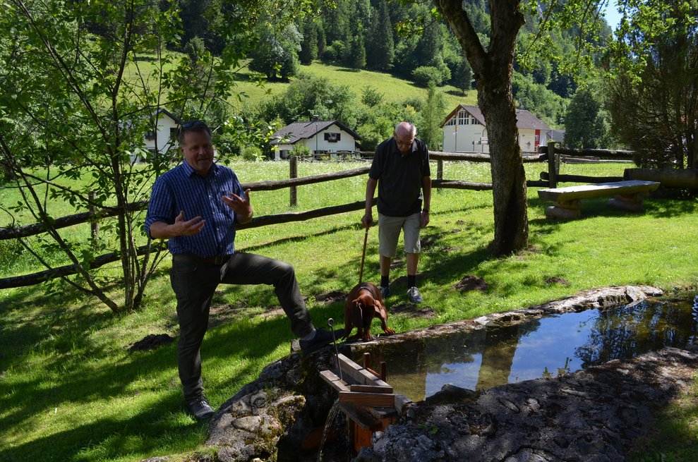 Holzschwemme in Nasswald