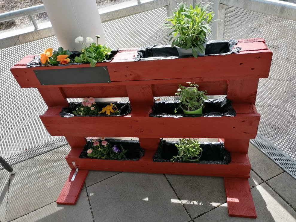 Kräuter- und Blumenhochbeet