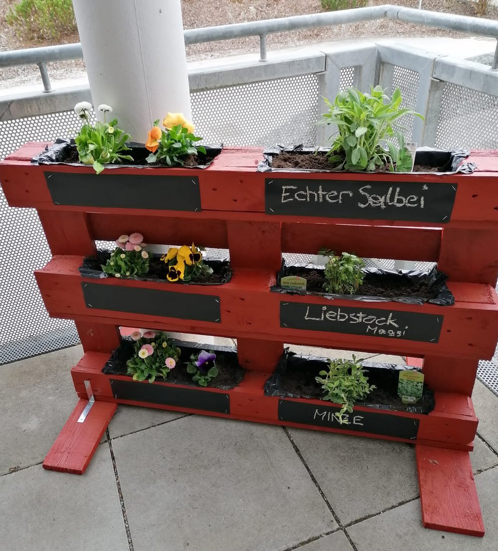 Kräuter- und Blumenhochbeet
