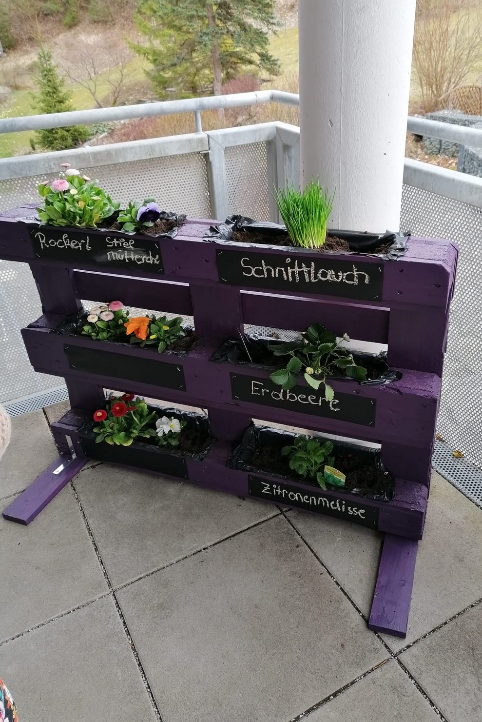 Kräuter- und Blumenhochbeet